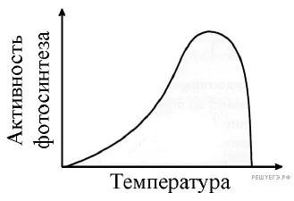 Рисунок к задаче