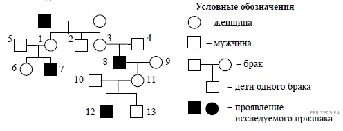 Рисунок к задаче