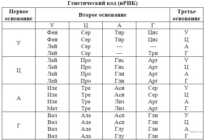 Рисунок к задаче