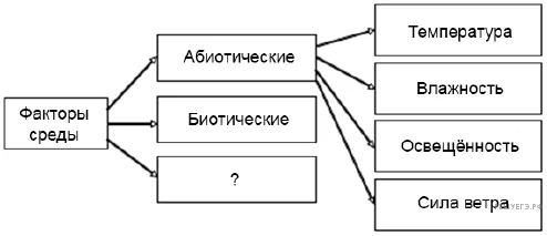 Рисунок к задаче