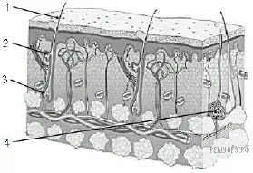 Рисунок к задаче