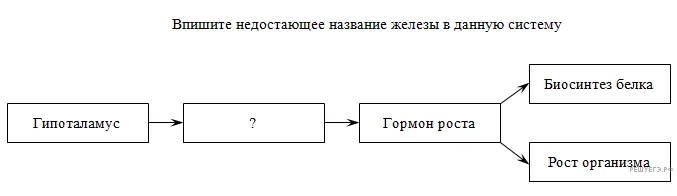 Рисунок к задаче