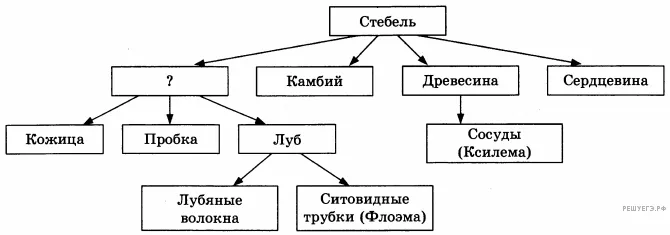 Рисунок к задаче