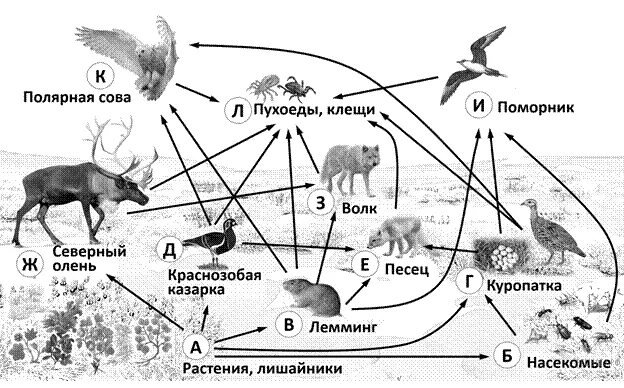 Рисунок к задаче