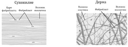 Рисунок к задаче