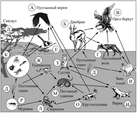 Рисунок к задаче