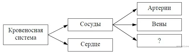 Рисунок к задаче