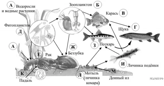 Рисунок к задаче