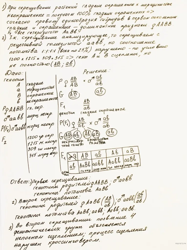Рисунок к задаче