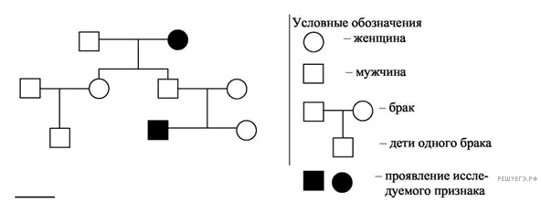 Рисунок к задаче