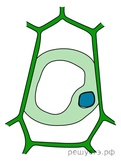 Рисунок к задаче
