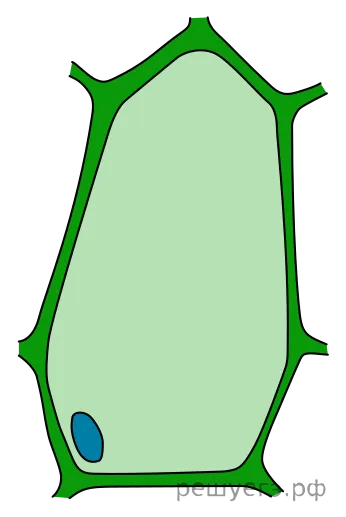 Рисунок к задаче