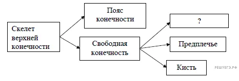 Рисунок к задаче
