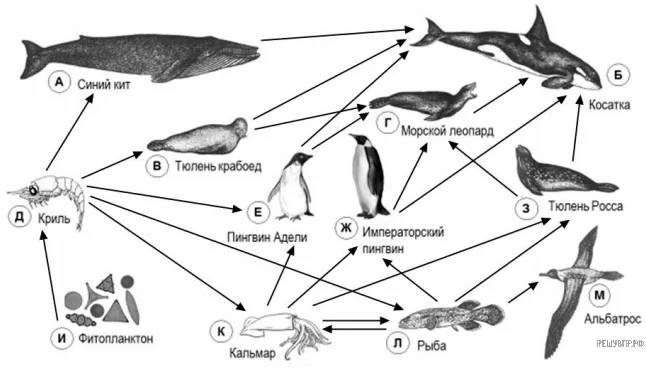 Рисунок к задаче