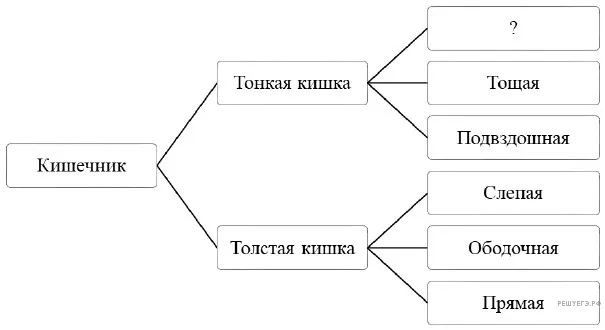 Рисунок к задаче