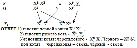 Рисунок к задаче