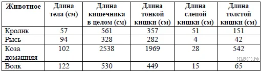 Рисунок к задаче