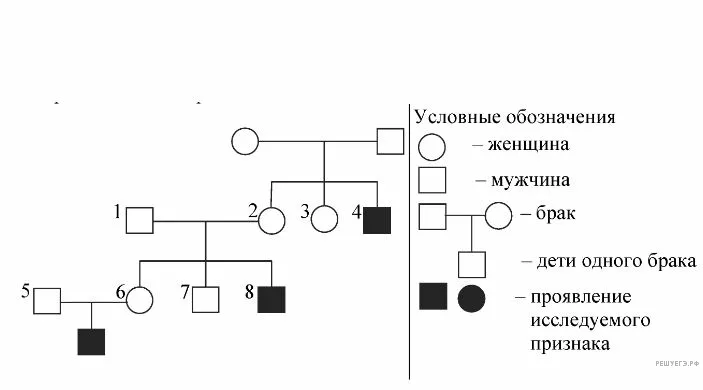 Рисунок к задаче