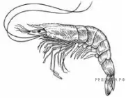 Рисунок к задаче