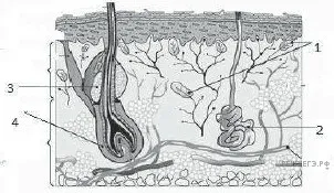 Рисунок к задаче