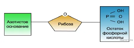 Рисунок к задаче