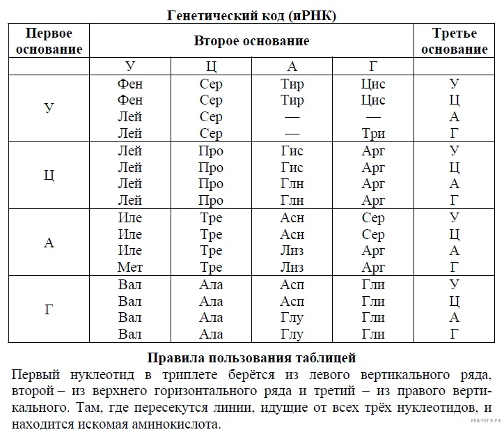 Рисунок к задаче