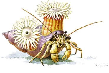 Рисунок к задаче