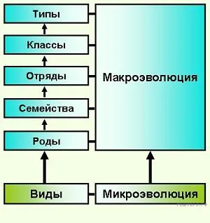 Рисунок к задаче