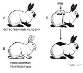 Рисунок к задаче