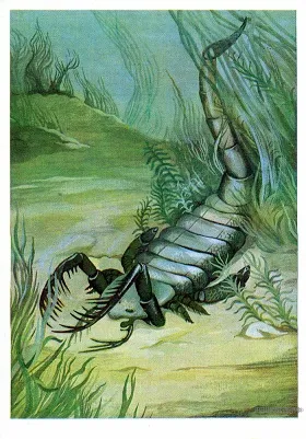 Рисунок к задаче