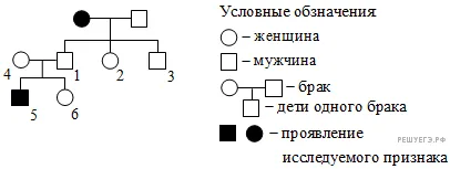Рисунок к задаче