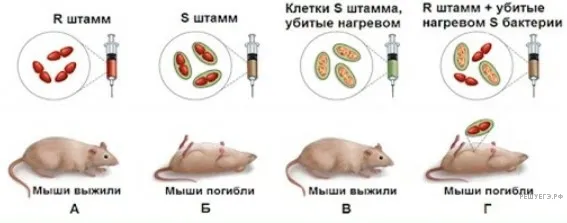 Рисунок к задаче