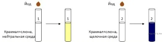 Рисунок к задаче