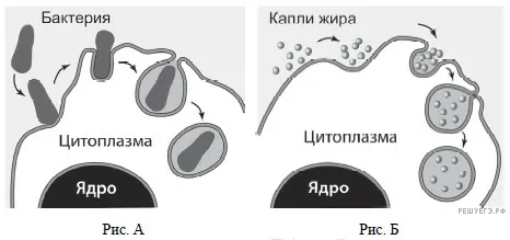 Рисунок к задаче