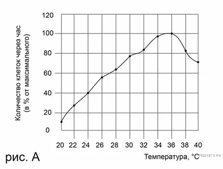 Рисунок к задаче