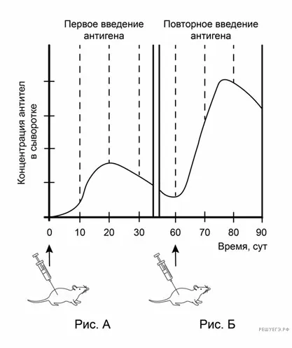 Рисунок к задаче