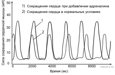 Рисунок к задаче