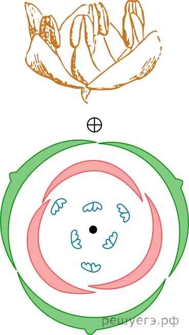 Рисунок к задаче