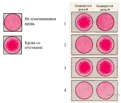 Рисунок к задаче