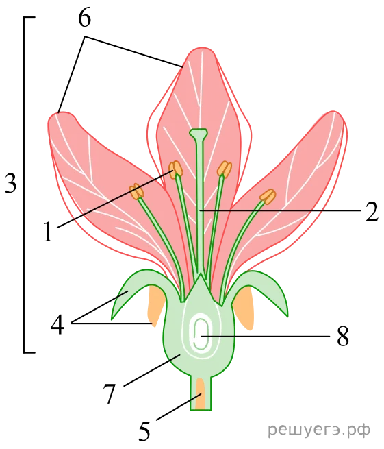 Рисунок к задаче
