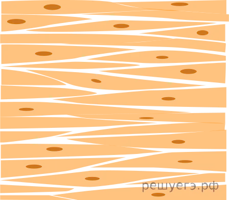 Рисунок к задаче