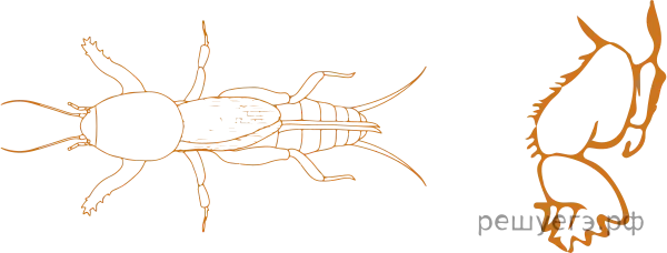 Рисунок к задаче