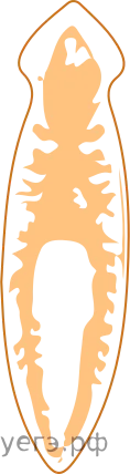 Рисунок к задаче