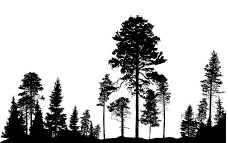 Рисунок к задаче