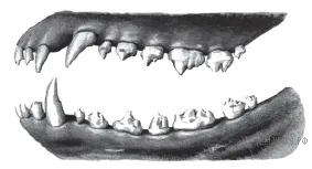 Рисунок к задаче