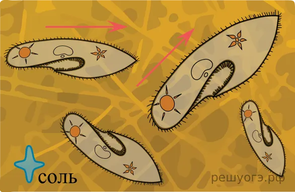 Рисунок к задаче