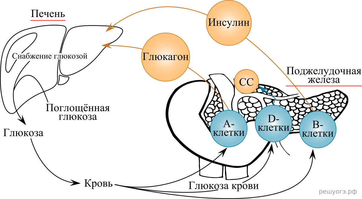 Рисунок к задаче