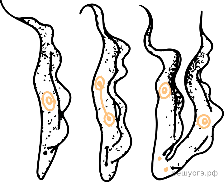 Рисунок к задаче