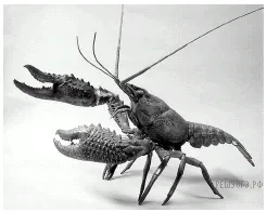 Рисунок к задаче