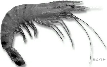 Рисунок к задаче
